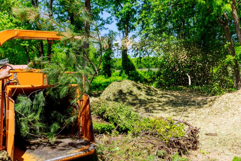 Residential Tree Service