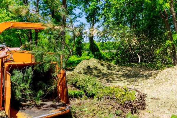 Tree Chipping Service